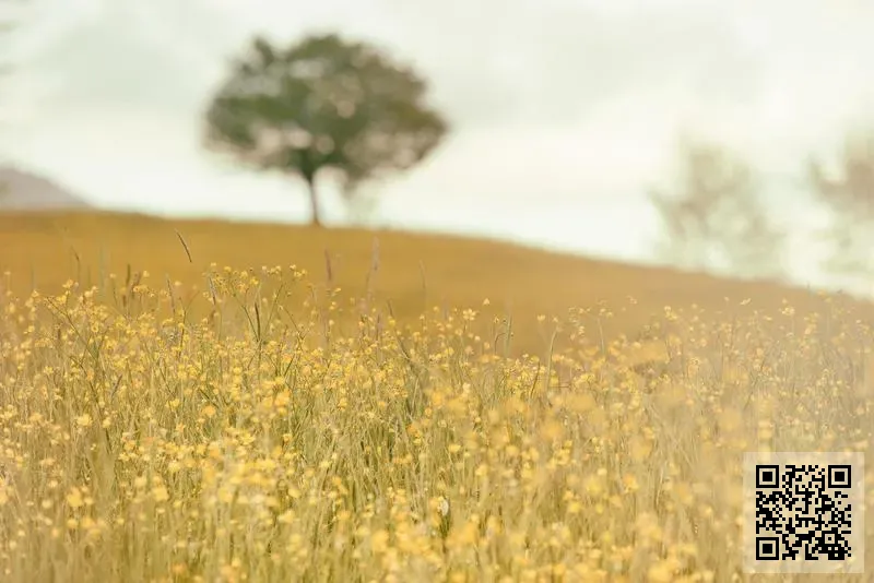 宜邦物業有限公司