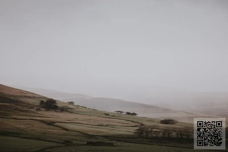 Searchworld Hong Kong Company Limited