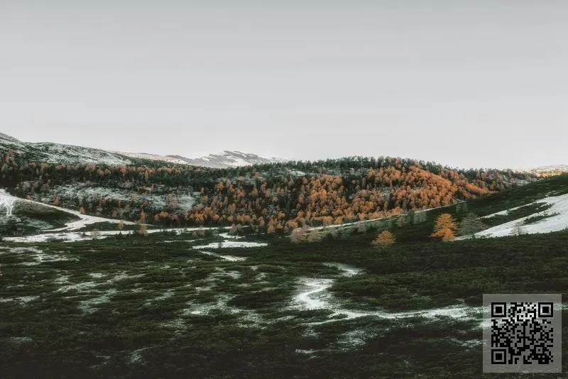 奔集團控股有限公司