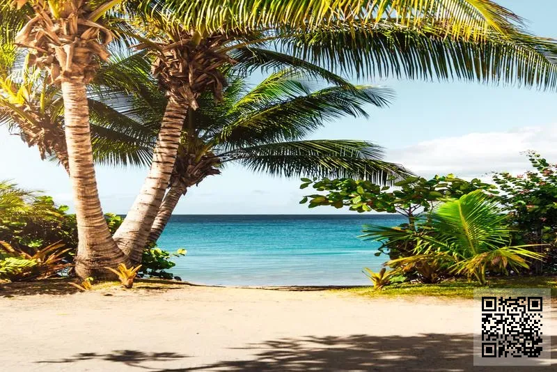 麥迪蒙特國際貿易有限公司