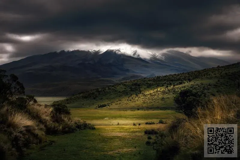 查特豪斯香港有限公司
