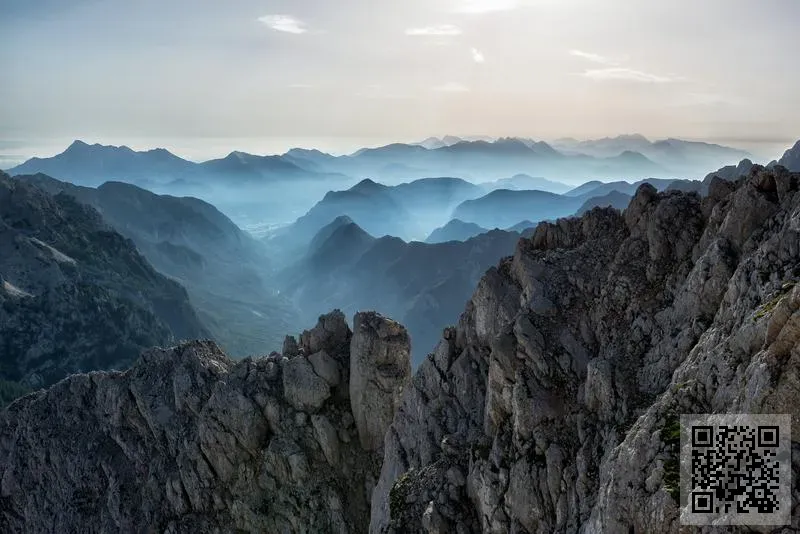 VERBENA GROWTH CO., LIMITED