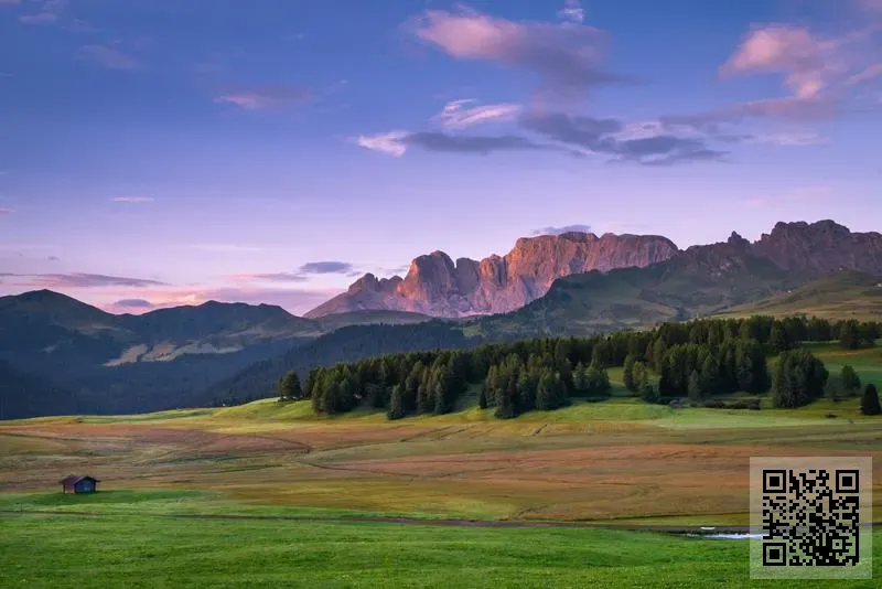 思邈健康有限公司