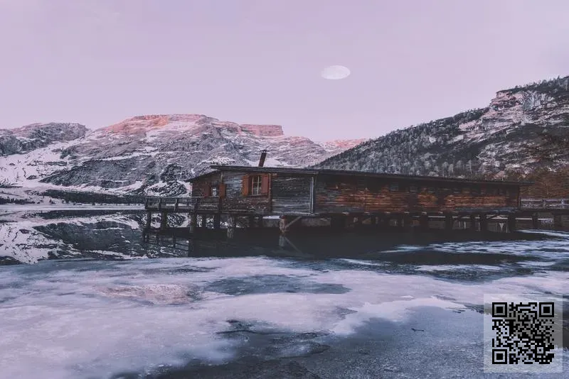 金九國際有限公司