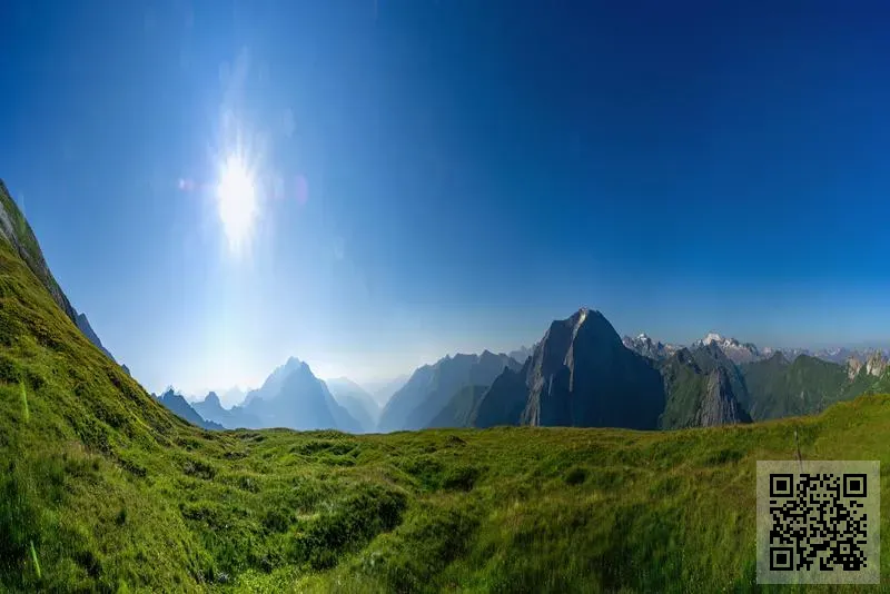 窗簾皇記憶定型簾有限公司