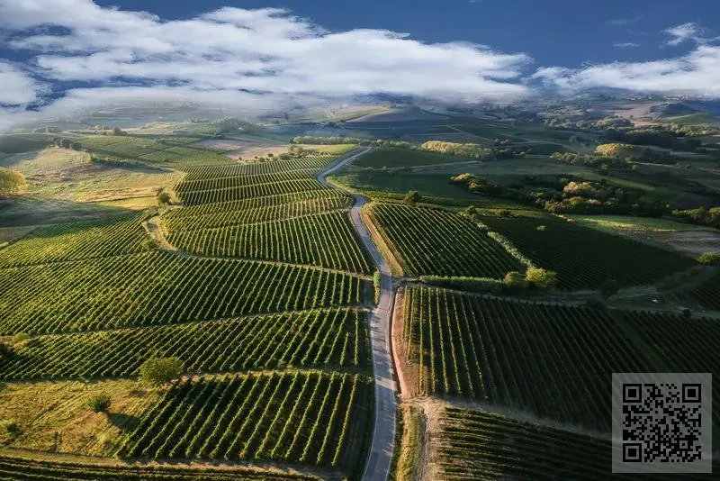 遠展興業有限公司