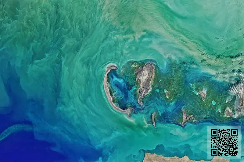 法國人頭馬國際集團股份有限公司