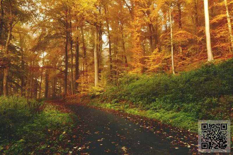 Berkshire Getaway Limited