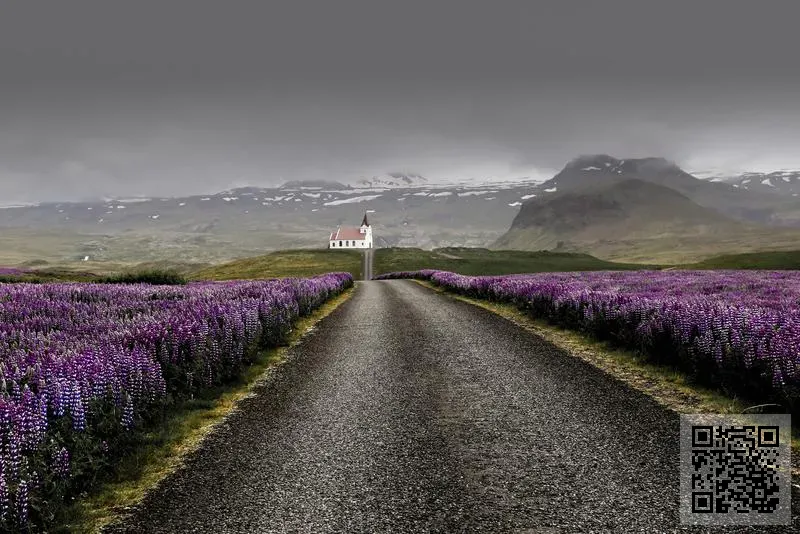 ITJ JEWELLERY COMPANY LIMITED