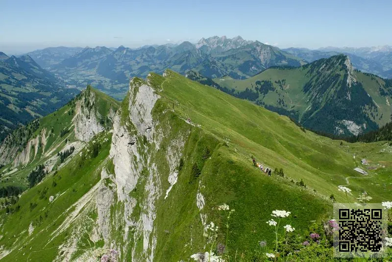 香港德羅科納照明有限公司