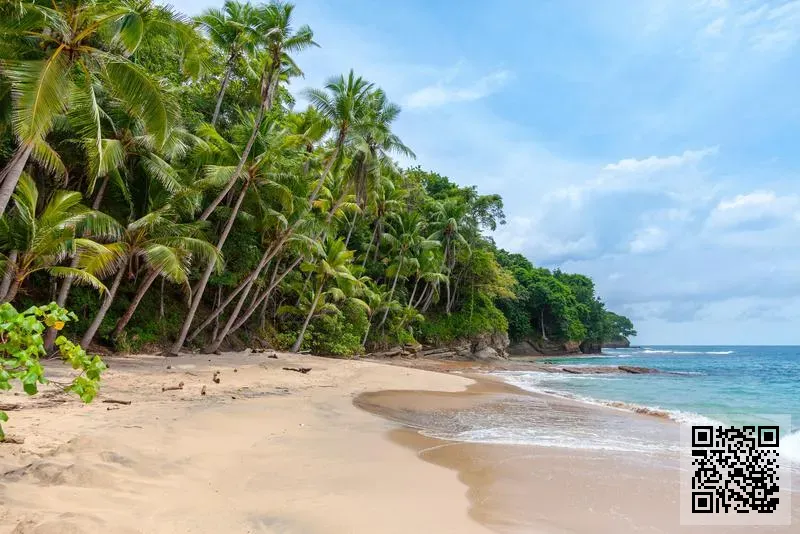 廣角鏡新媒體科技有限公司