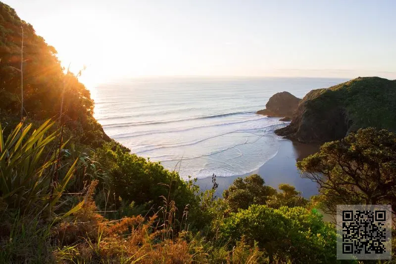 Spinex Hong Kong Limited