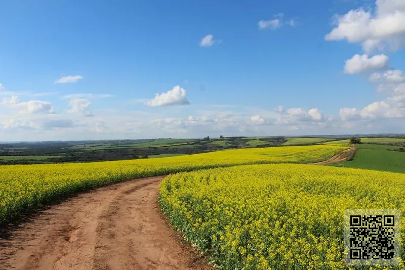 常樂實業有限公司