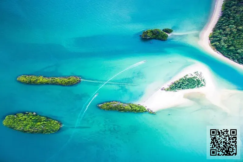 魯港國際(香港)投資有限公司