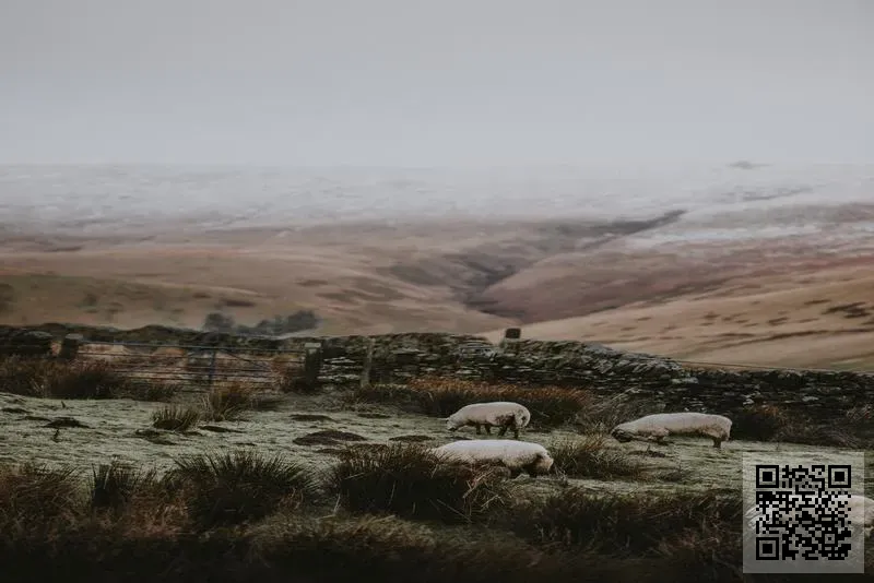 環球時裝網絡有限公司