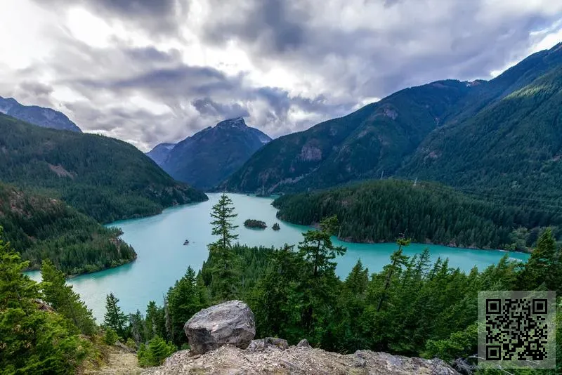 偉聯國際香港有限公司