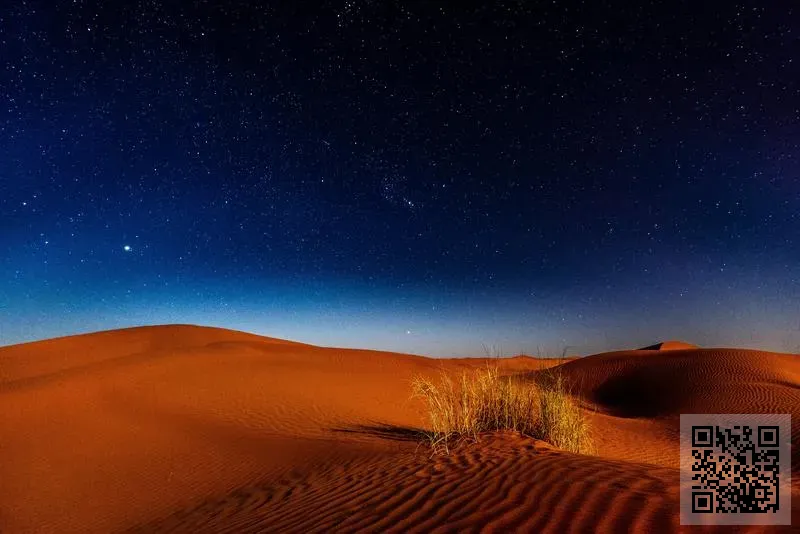 UFJ Merchants Limited