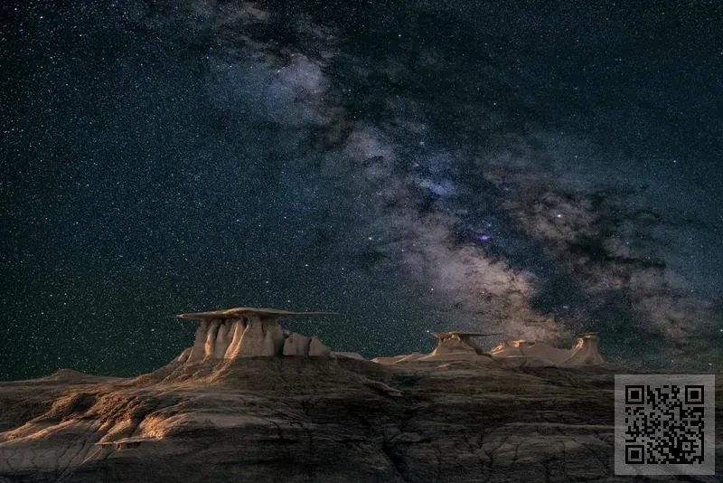 神劃資訊有限公司