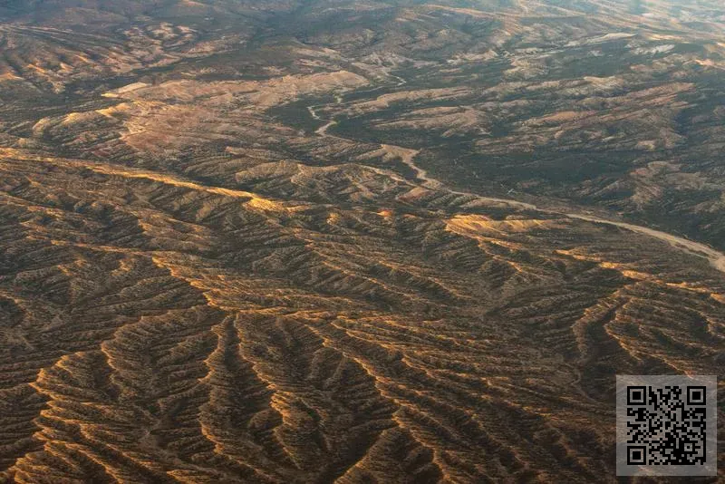 Harbour Of Arts Limited