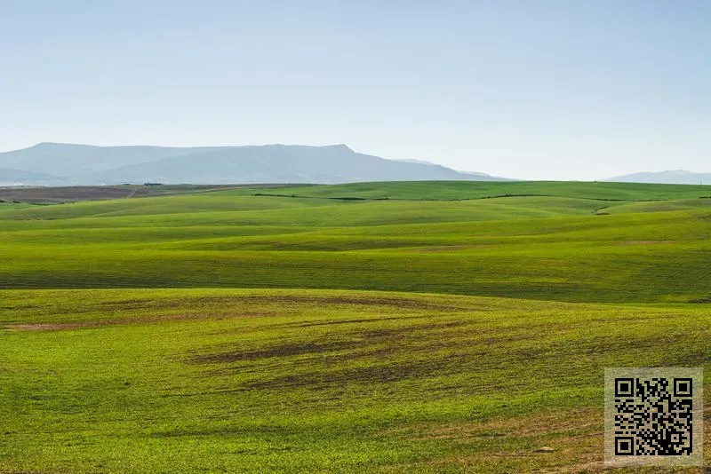 中國貴州國醬酒業股份有限公司