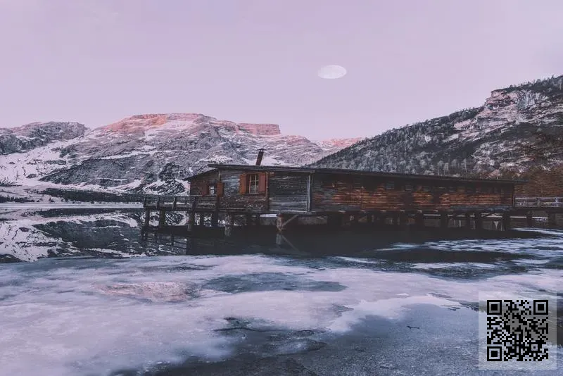 杵林能源發展有限公司