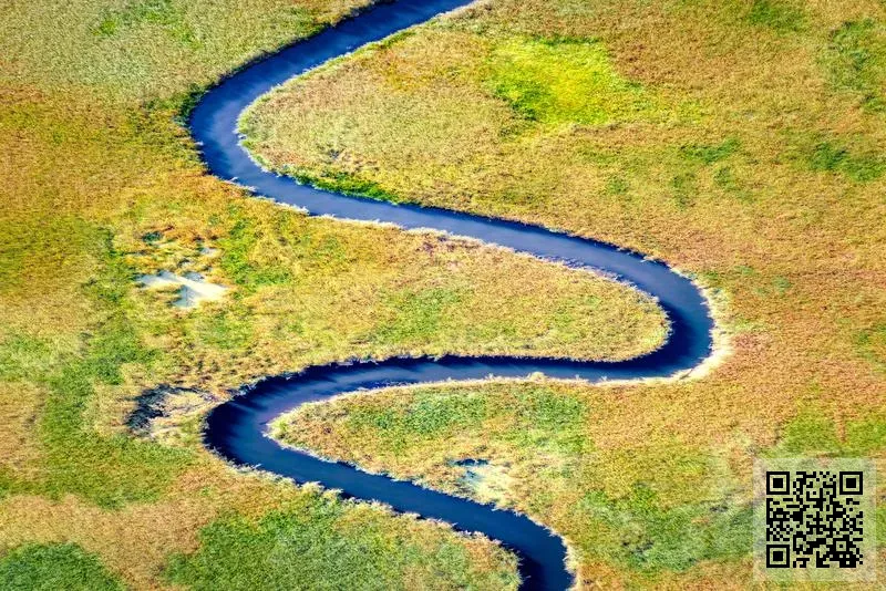 珍品坊有限公司