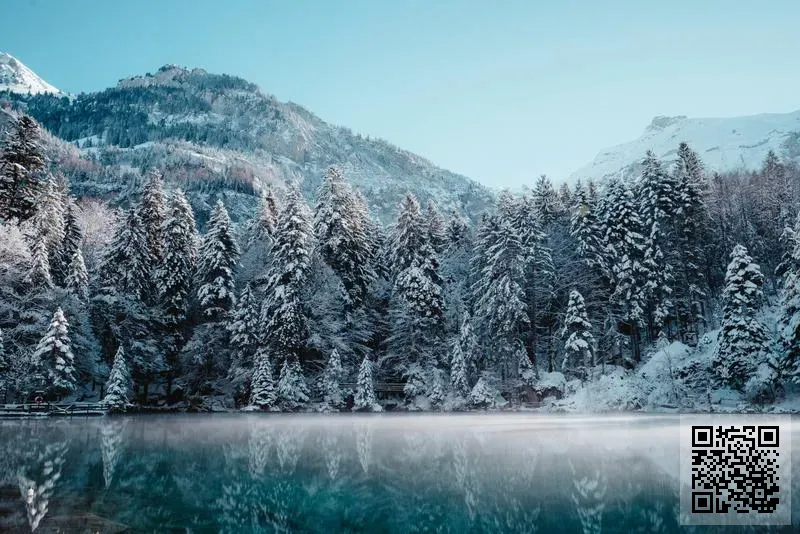 德國歐普森石油國際集團(中國)有限公司