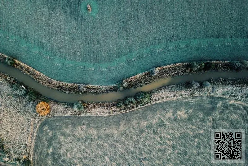 Academy of Film and Media (Hong Kong) Limited