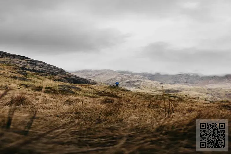 迪加控股有限公司