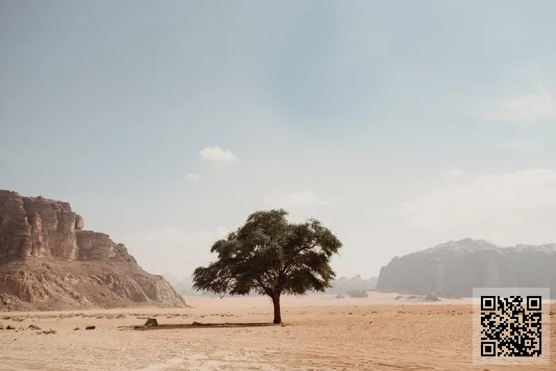 新榮科技發展有限公司