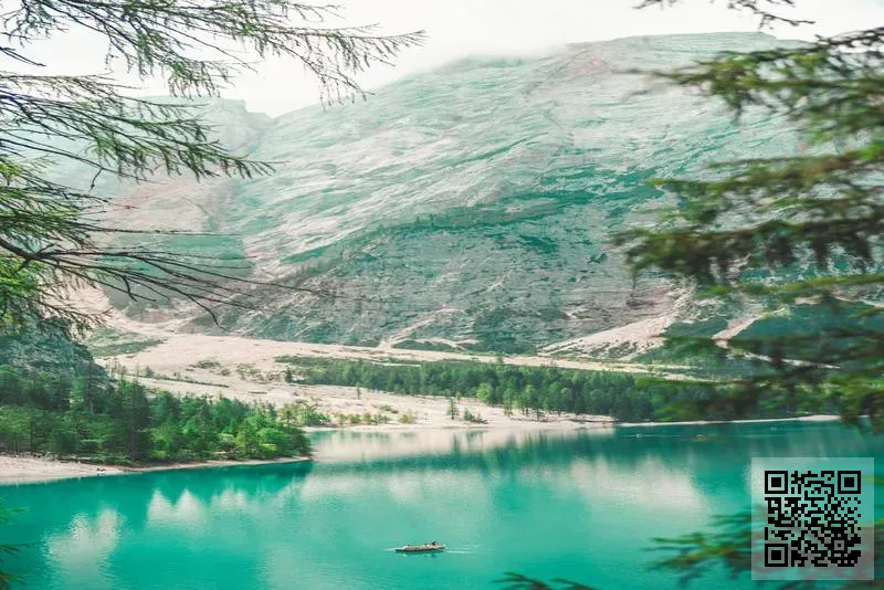 PRINDA PURANANANDA DESIGNS LIMITED