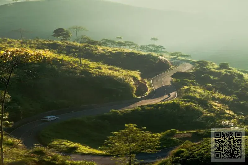 快通物流有限公司