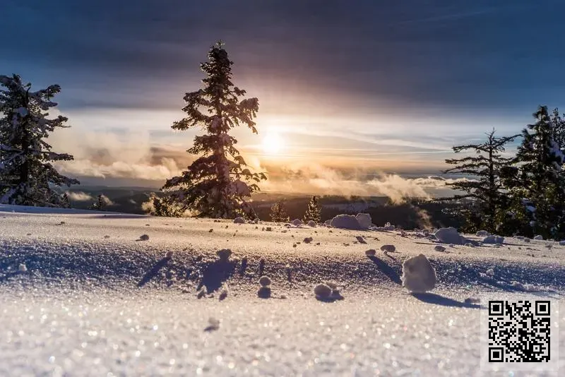 香港頂技科技有限公司