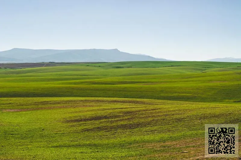 滔普國際商務有限公司