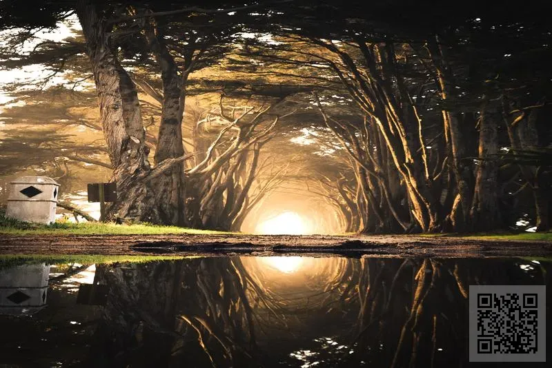 天福國際投資集團有限公司