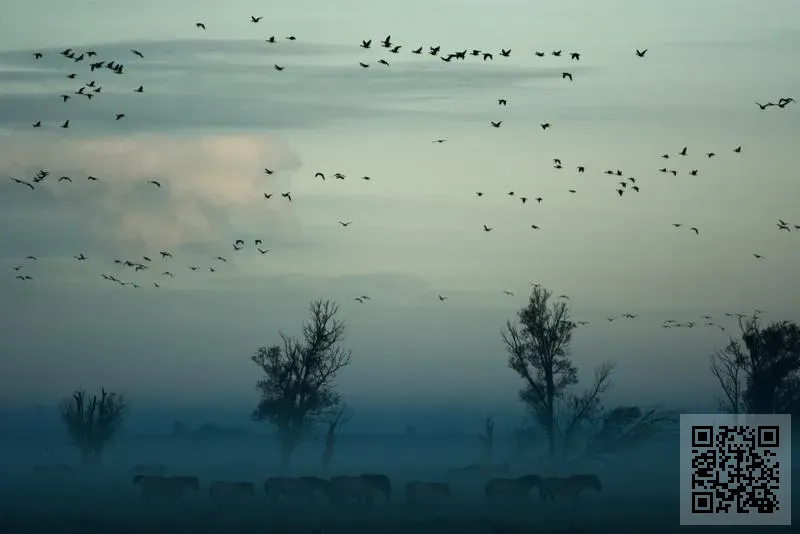 香港棒健康集團有限公司