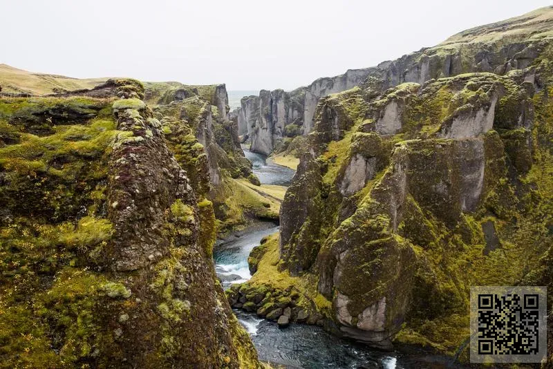 香港壽全齋有限公司