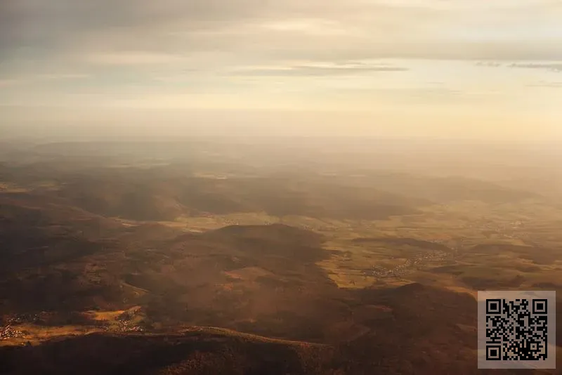 香港蘇迪揚國際貿易有限公司