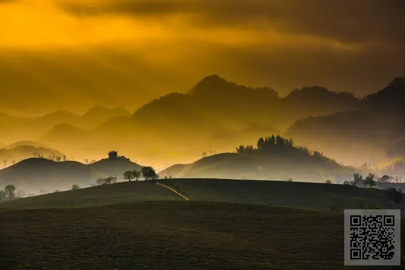 中國三化產業聯盟集團有限公司