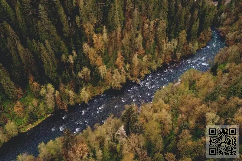 中亞集裝箱服務有限公司