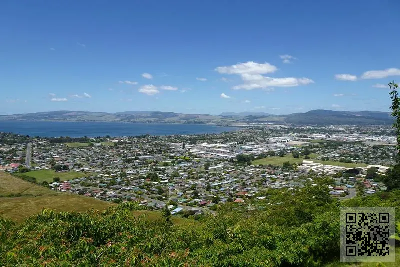 Black Angel White Devil Limited