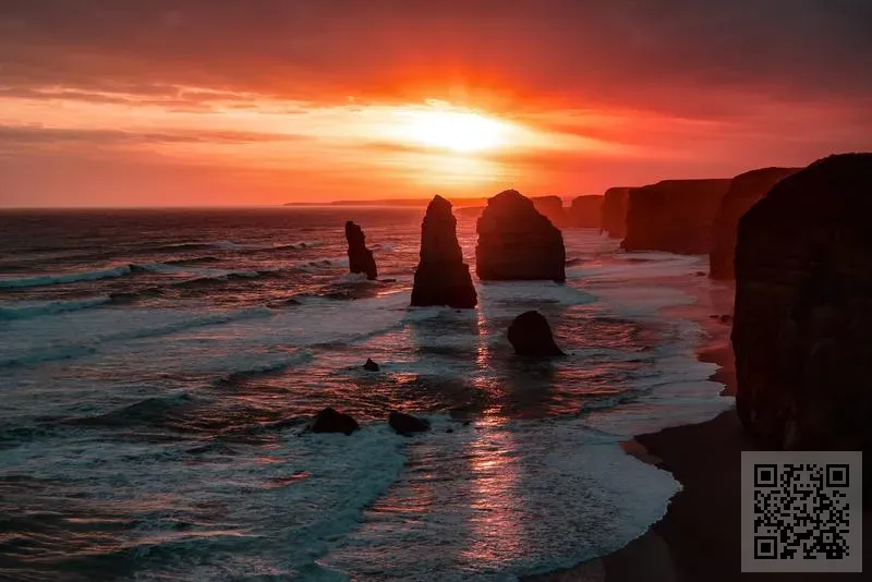 星鋒投資有限公司