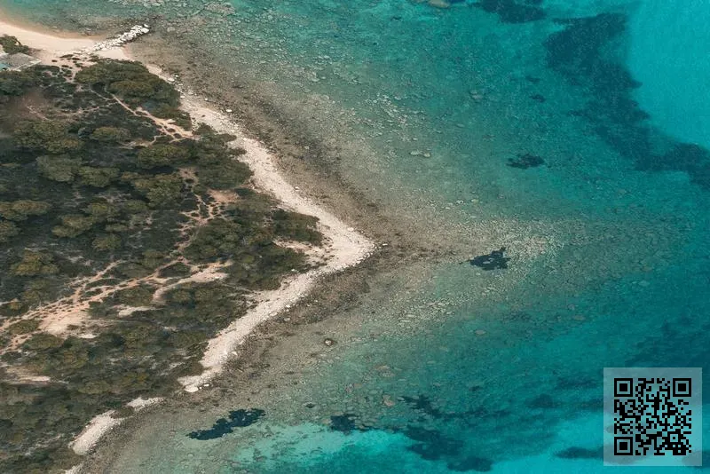 飛捷物流貨運有限公司