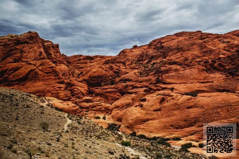 香港歐洋世紀國際集團有限公司