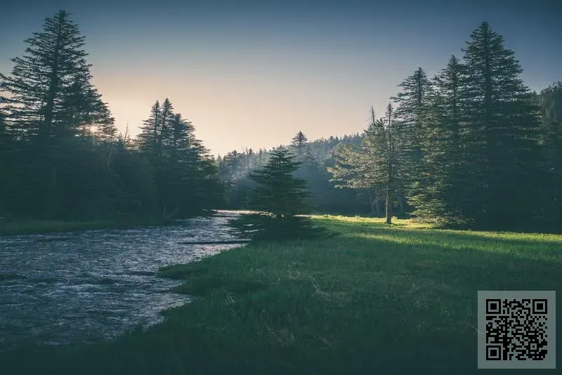 斯普康電器上海有限公司