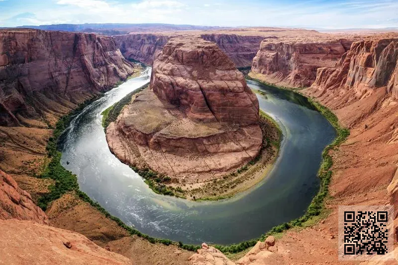 楊氏香港有限公司