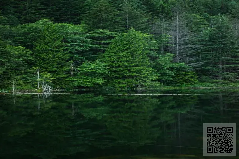 合眾力國際有限公司