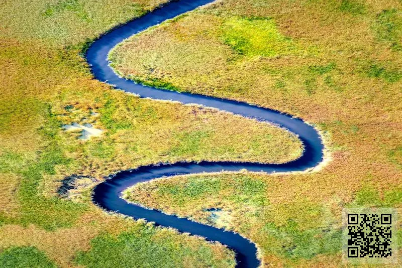 易成醫藥有限公司