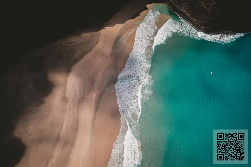 梅比斯有限公司