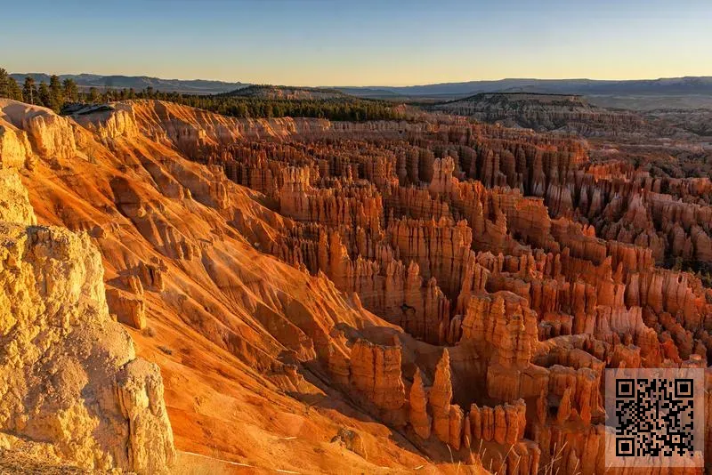 G-DESTINY IMPORT & EXPORT CO., LIMITED